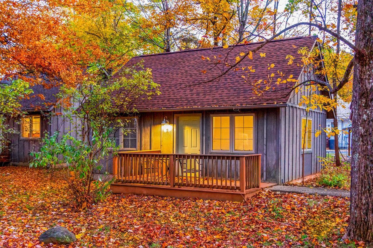 Love Ridge Mountain Lodging Lyndhurst Extérieur photo