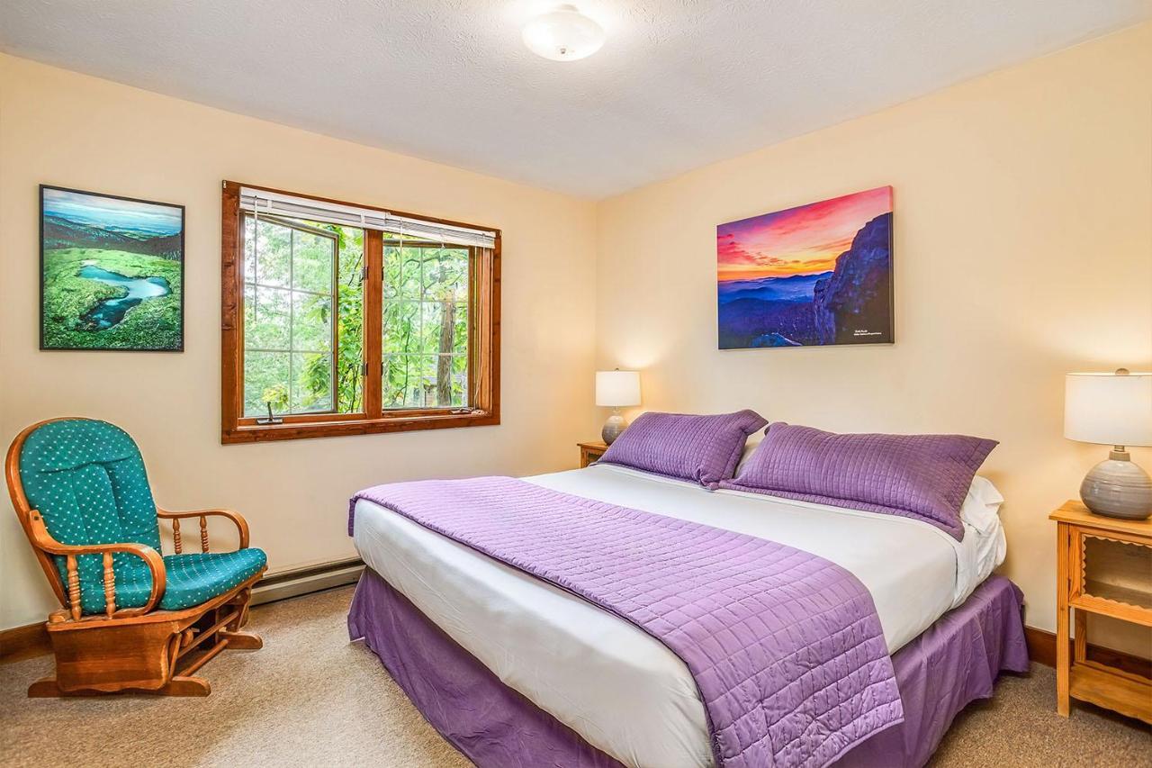 Love Ridge Mountain Lodging Lyndhurst Extérieur photo