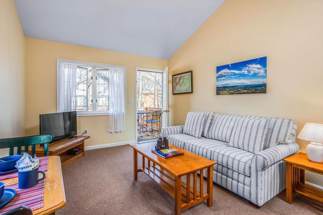 Love Ridge Mountain Lodging Lyndhurst Extérieur photo