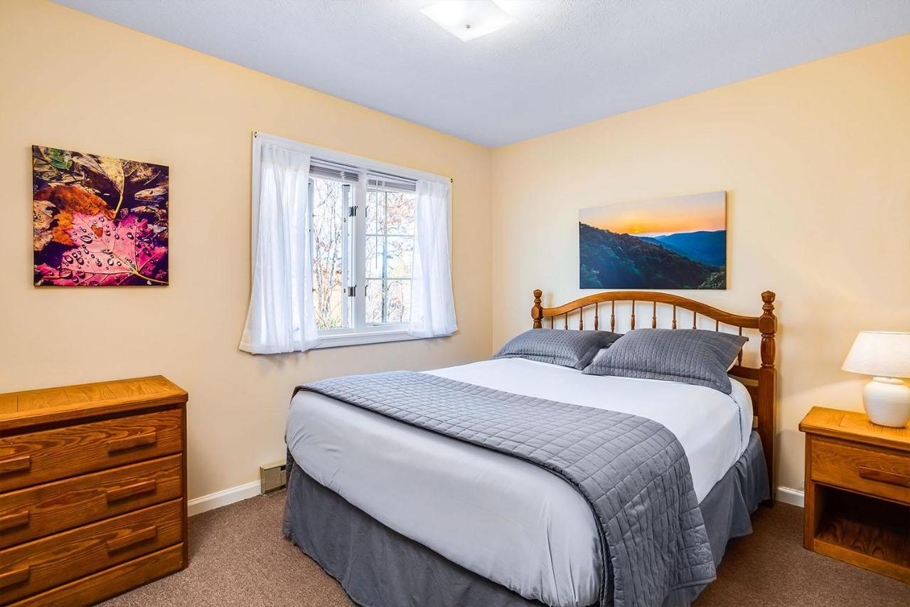 Love Ridge Mountain Lodging Lyndhurst Extérieur photo