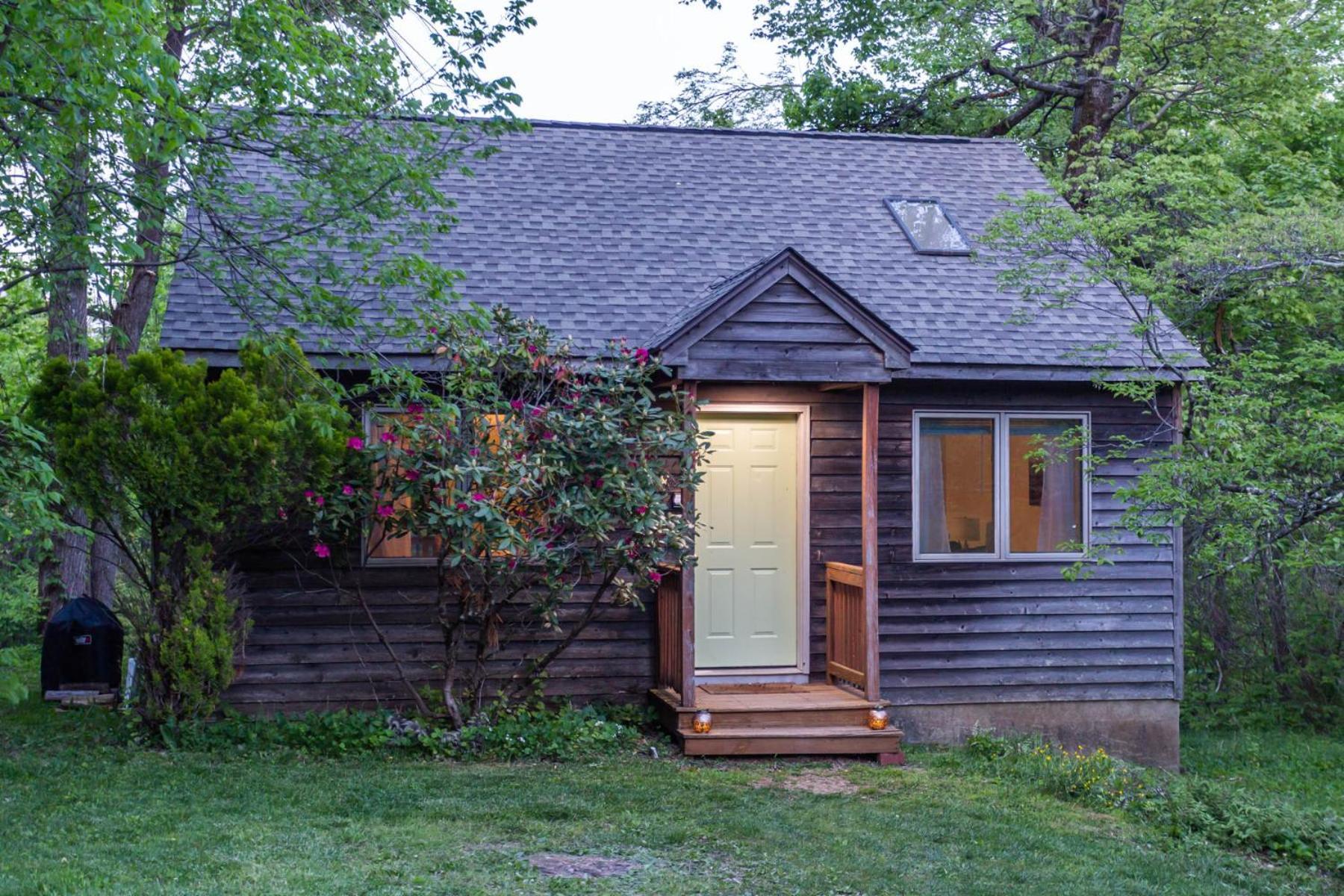 Love Ridge Mountain Lodging Lyndhurst Extérieur photo