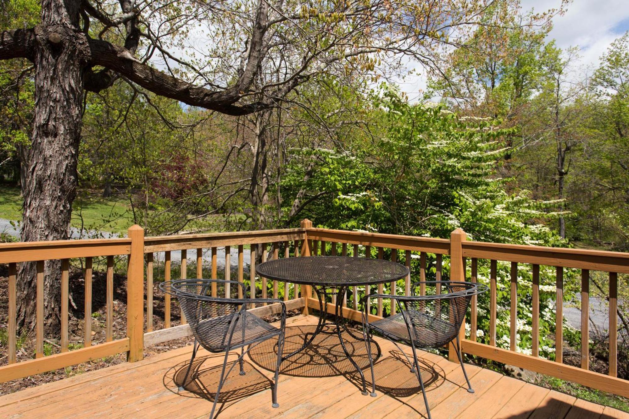 Love Ridge Mountain Lodging Lyndhurst Extérieur photo